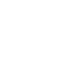 Formula 1