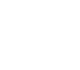 NLZIET